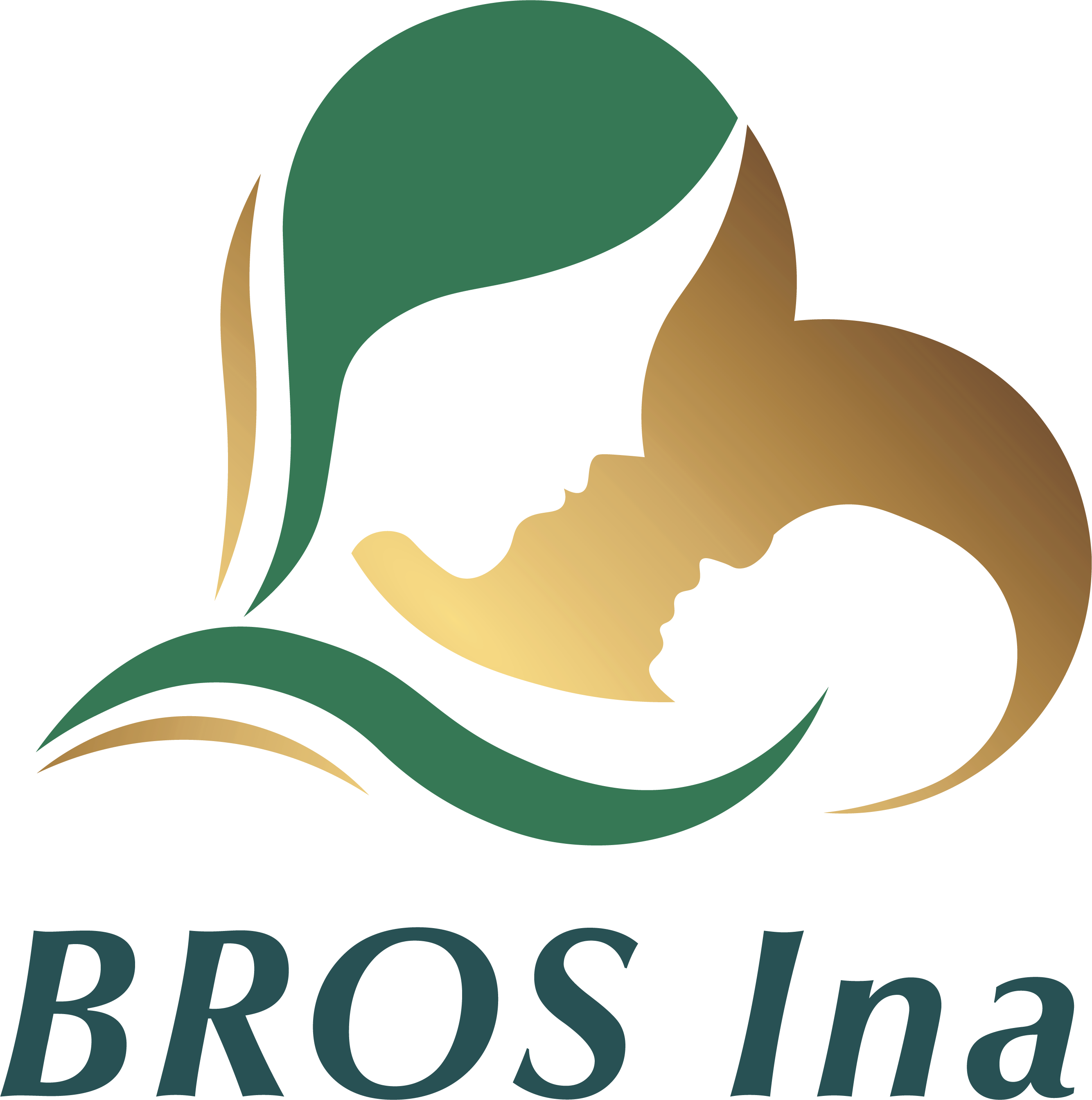 BROS & BROS INA Logo