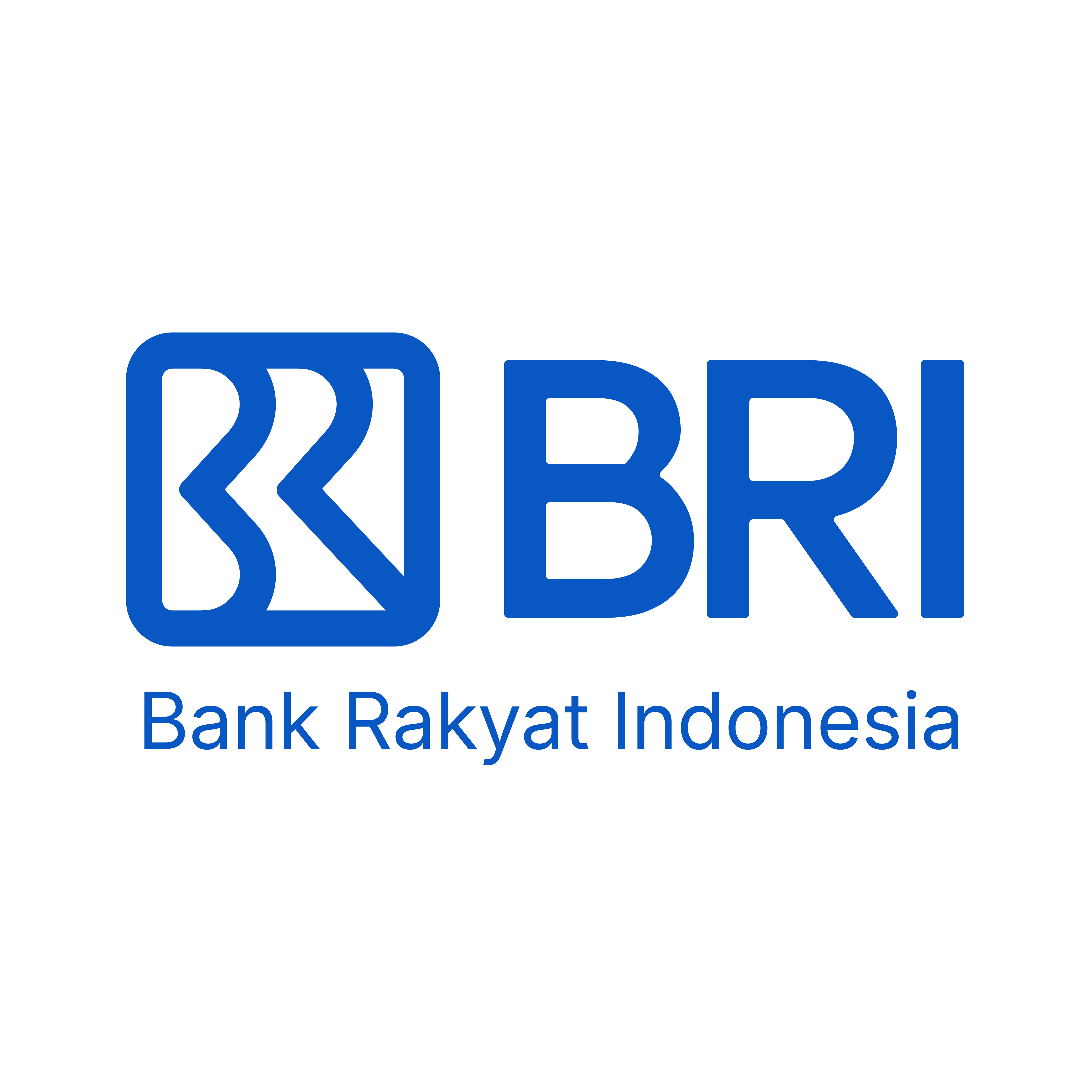 BRI Logo