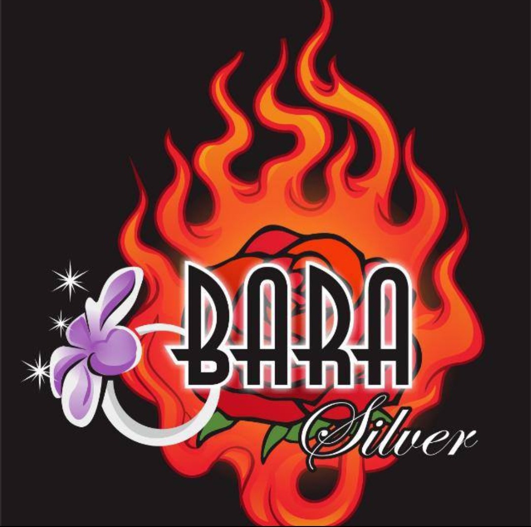 Bara silver Logo