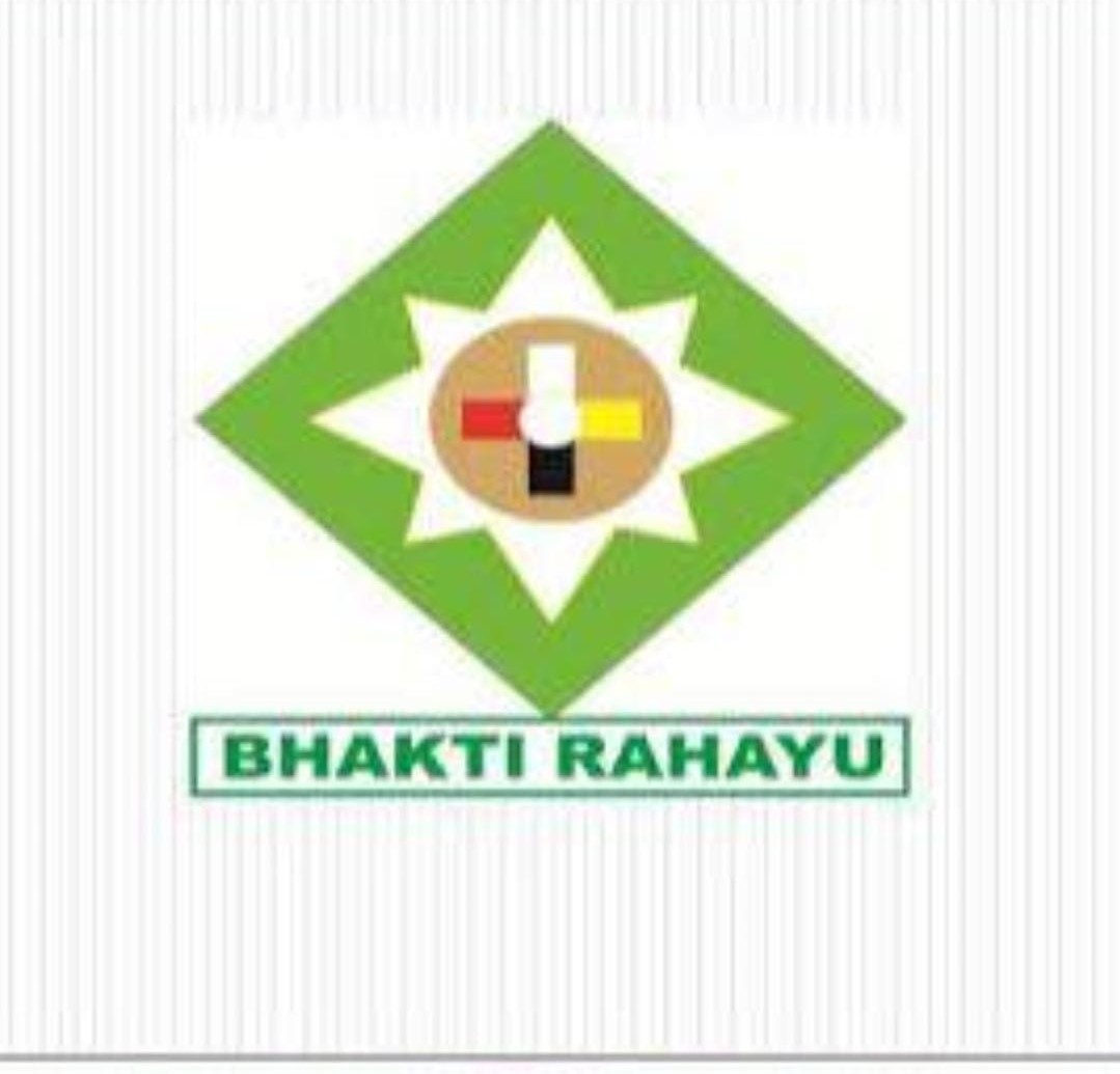 Brahealthcare Logo