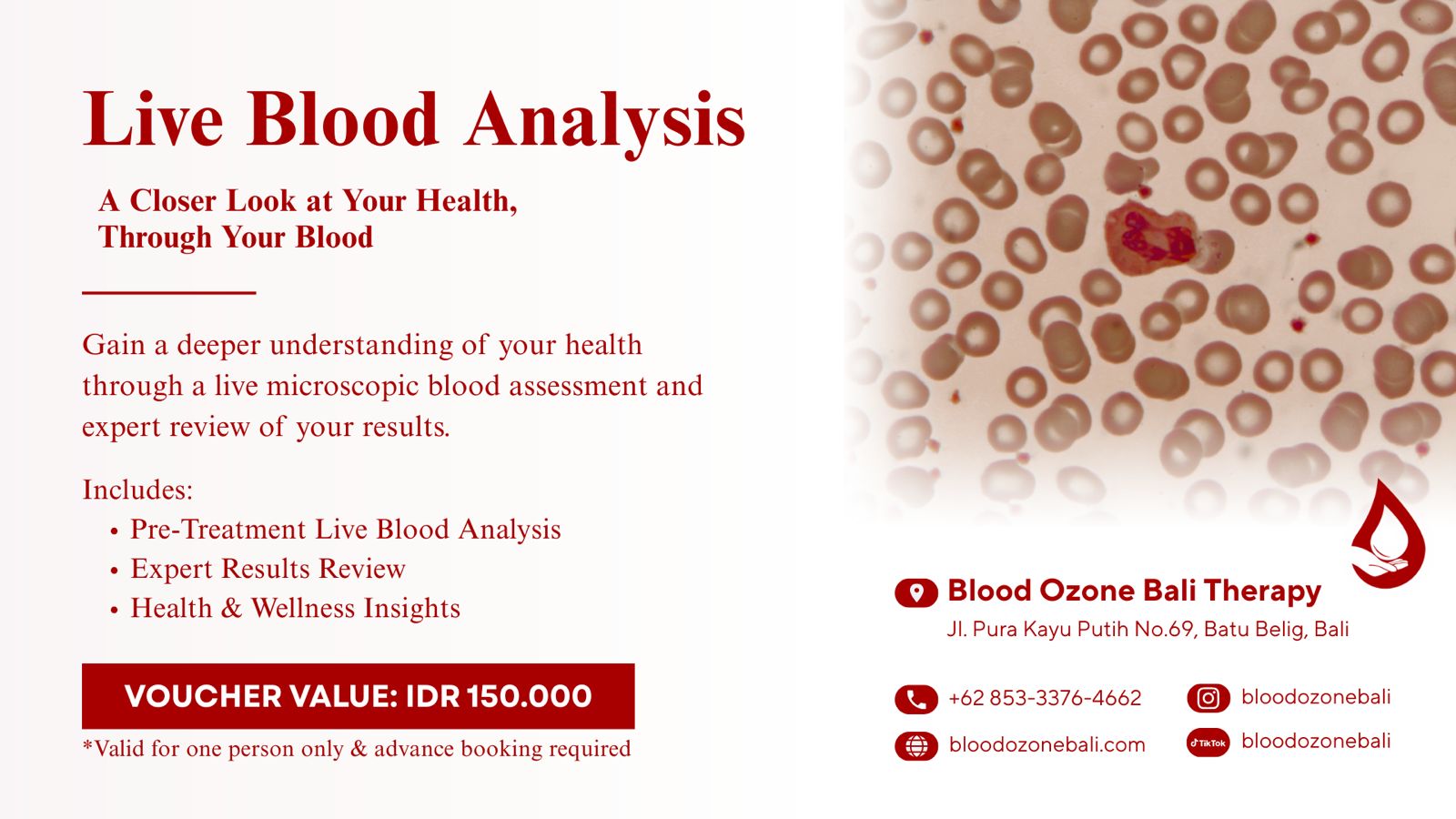 Live Blood Analysis
