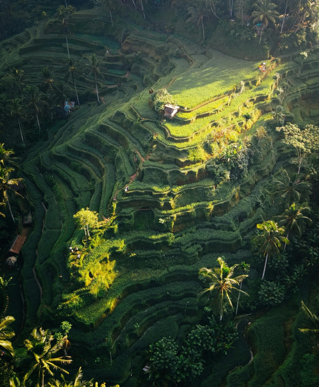 Visitor Registration